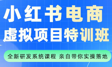 陆明明·小红书虚拟项目特训班(更新9月)-HEIXMI（中国站）