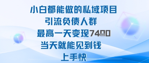 2025年小白都能做的私域项目引流负债人群最高一天变现1k+高变现难度低当天就能见到钱上手快-HEIXMI（中国站）
