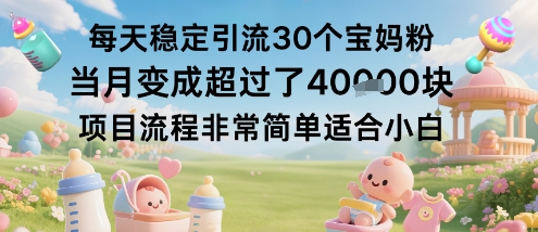 每天稳定引流30个宝妈粉当月变成超过了1W+项目流程非常简单适合小白-HEIXMI（中国站）