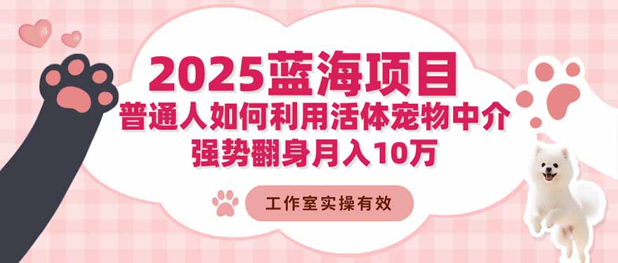 2025蓝海项目：普通人如何利用活体宠物中介，强势翻身月入10万-HEIXMI（中国站）
