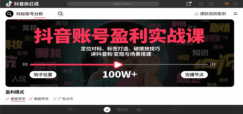 抖音账号盈利实战课，定位对标、标签打造、破播放技巧，讲涨粉变现与场景搭建-HEIXMI（中国站）