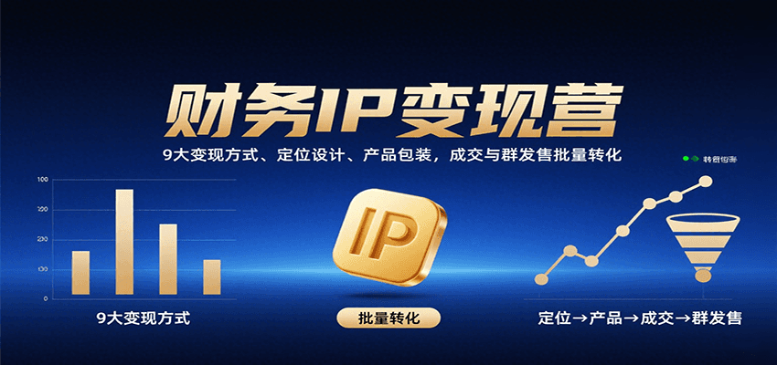 财务IP变现营：9大变现方式、定位设计、产品包装，成交与群发售批量转化-HEIXMI（中国站）