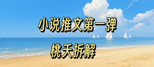 小说推文项目操作全流程第一弹，0粉就能做，门槛低非常适合新手-HEIXMI（中国站）