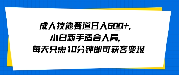 成人技能赛道日入多张，小白新手适合入局，每天只需10分钟即可获客变现-HEIXMI（中国站）