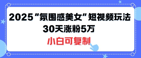 不露脸也能火！2025“氛围感美女”短视频玩法，30天涨粉5W小白可复制-HEIXMI（中国站）
