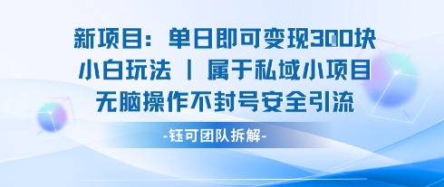 新项目单日即可变现3张的小白玩法无脑操作不封号安全引流-HEIXMI（中国站）