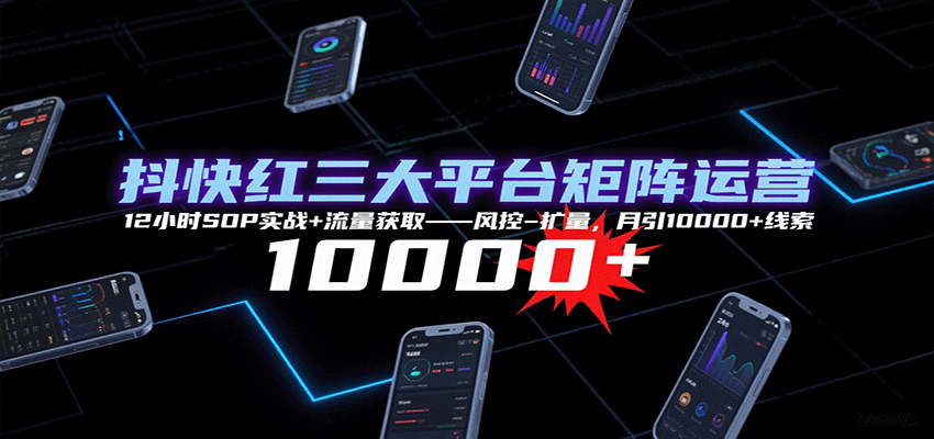 抖快红三大平台矩阵运营，12小时SOP实战+流量获取-风控-扩量，月引10000+线索-HEIXMI（中国站）