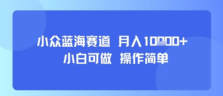小众蓝海赛道，小白可做，操作简单，每天30分钟，月入1W+-HEIXMI（中国站）