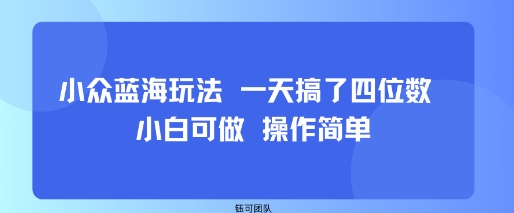 小众蓝海玩法 一天搞了四位数 小白可做 操作简单-HEIXMI（中国站）