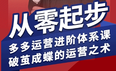 拼多多运营进阶系统课，从零起步，多多运营进阶体系课，破茧成蝶的运营之术-HEIXMI（中国站）