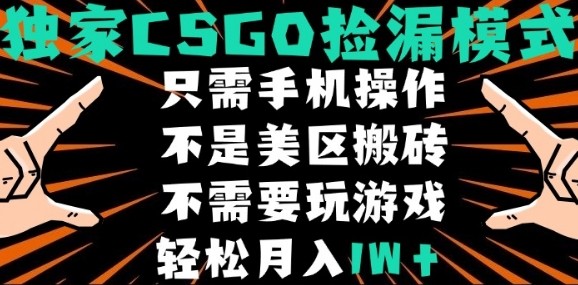 CSGO自动捡漏项目，最新独家玩法，不是美区搬砖，不需要了解和玩游戏，新手小白轻松月入1W+【揭秘】-HEIXMI（中国站）