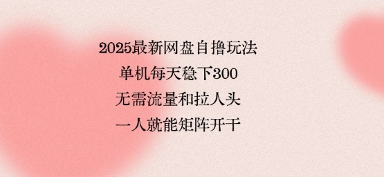 2025最新网盘自撸玩法，单机每天稳下3张，无需流量和拉人头，一个人就可轻松矩阵，全网独一份【揭秘】-HEIXMI（中国站）
