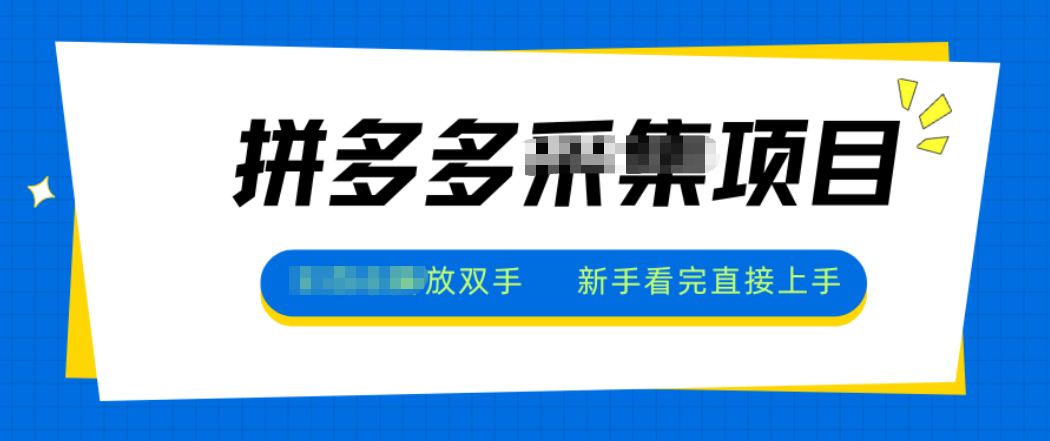 拼多多电商采集，一小时50+，操作简单，零投资-HEIXMI（中国站）