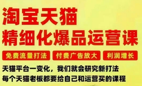 淘宝天猫精细化爆品运营课，免费流量打法-付费广告放大-利润增长-三大核心痛点，一次全部解决-HEIXMI（中国站）