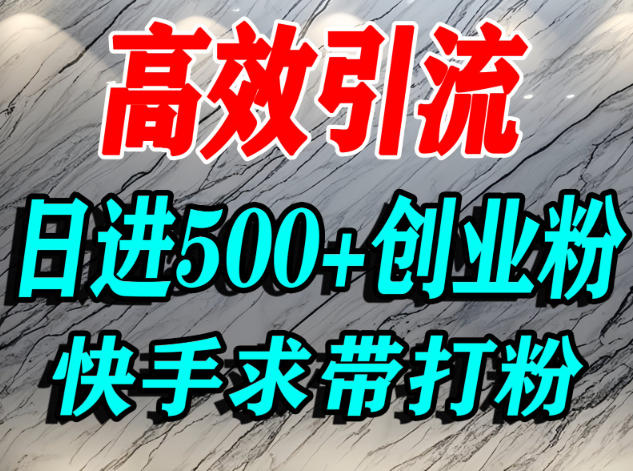 怎么打创业粉？快手求带视角精准引流创业粉，宝妈、学生群体日进500+精准流量-HEIXMI（中国站）