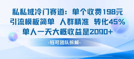 私域冷门赛道单个收费198米引流模板简单人群精准 45%的转化率单人一天大概收益多张-HEIXMI（中国站）