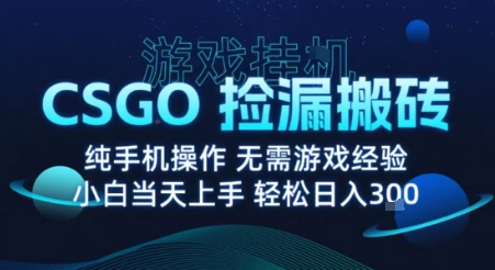 8月最新游戏搬砖，CSGO纯挂G，不需要玩游戏，实现真挂G，月入1W+【揭秘】-HEIXMI（中国站）