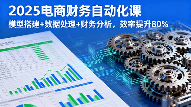 2025电商财务自动化课，模型搭建+数据处理+财务分析，效率提升80%-HEIXMI（中国站）