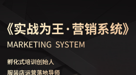 老杨·服装老板必修课《实战为王-营销系统》实现业绩被动式增长-HEIXMI（中国站）