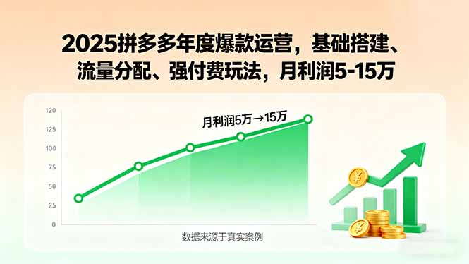 2025拼多多年度爆款运营，基础搭建、流量分配、强付费玩法，月利润5-15万-HEIXMI（中国站）