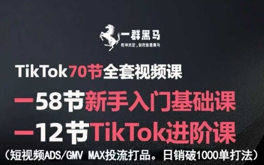 TikTok全套视频课，新手入门+进阶课，短视频ADS-GMV MAX投流打品，日销破1000单打法-HEIXMI（中国站）