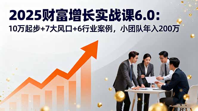 2025财富增长实战课6.0：10万起步+7大风口+6行业案例，小团队年入200万-HEIXMI（中国站）