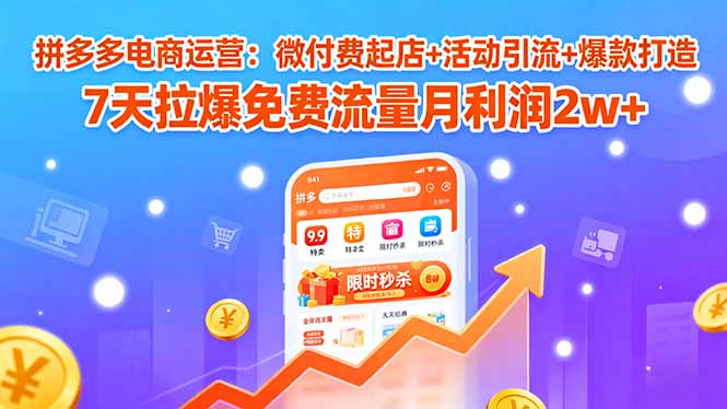 拼多多电商运营：微付费起店+活动引流+爆款打造 7天拉爆免费流量月利润2w+-HEIXMI（中国站）
