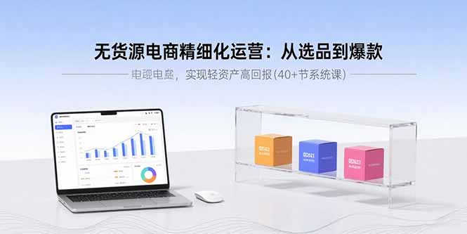 无货源电商精细化运营：从选品到爆款，实现轻资产高回报(40+节系统课-HEIXMI（中国站）