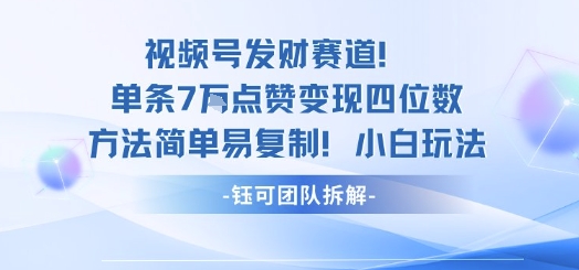视频号发财赛道单条7W点赞变现四位数方法简单易复制小白玩法-HEIXMI（中国站）