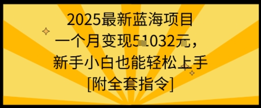 2025最新蓝海项目一个月变现1w+新手小白也能轻松上手【附全套指令】-HEIXMI（中国站）