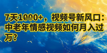 7天收益1k+，视频号新风口：中老年情感视频如何月入过W?-HEIXMI（中国站）