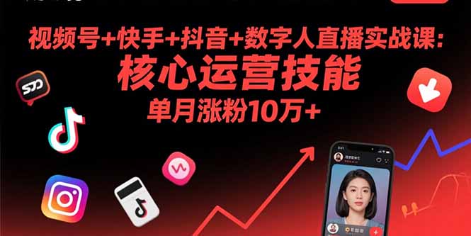 视频号+快手+抖音+数字人直播实战课(9月-HEIXMI（中国站）