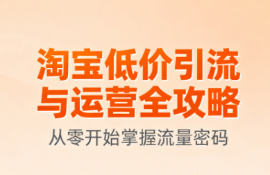 淘宝低价引流与运营全攻略(更新9月)-HEIXMI（中国站）