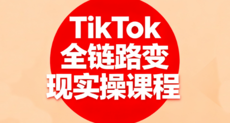 小杨老师·TikTok全链路变现实操课程-HEIXMI（中国站）
