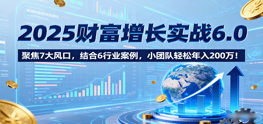 2025财富增长实战6.0，聚焦7大风口，结合6行业案例，小团队轻松年入200万！-HEIXMI（中国站）