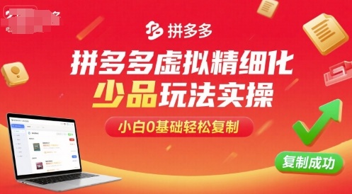 拼多多虚拟精细化少品玩法实操，小白0基础轻松复制-HEIXMI（中国站）