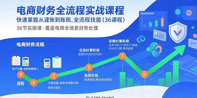 电商财务全流程实战课程：快速掌握从建账到报税的全流程技能(36节课-HEIXMI（中国站）