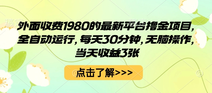 外面收费1980的最新平台撸金项目，全自动运行，每天30分钟，无脑操作，当天收益3张【揭秘】-HEIXMI（中国站）