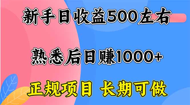 新手日收益500+ 正规项目 长期可做-HEIXMI（中国站）