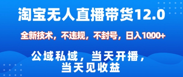淘宝无人直播12.0，公域私域技术，不封号，不违规布局双十一流量风口，日入1k(独家技术)【揭秘】-HEIXMI（中国站）