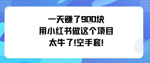 一天挣了9张用小红书做这个项目太牛了，空手套-HEIXMI（中国站）