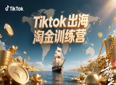 Tiktok出海淘金训练营，跨境电商TK实战变现-HEIXMI（中国站）