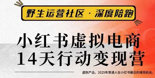 小红书虚拟电商14天变现训练营3.0，​虚拟产品，2025年普通人在小红书最后的搞钱机会-HEIXMI（中国站）