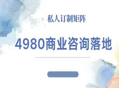 4980商业咨询师落地课程-ip运营高客单教程-HEIXMI（中国站）