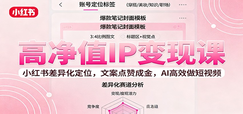 高净值IP变现课：小红书差异化定位，文案点赞成金， AI高效做短视频-HEIXMI（中国站）