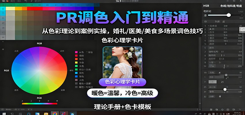 PR调色入门到精通：从色彩理论到案例实操，婚礼/医美/美食多场景调色技巧-HEIXMI（中国站）