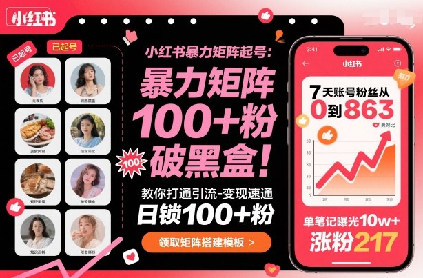 小红书暴力矩阵起号，教你打通引流-变现速通，日锁100+粉，破流量黑盒-HEIXMI（中国站）