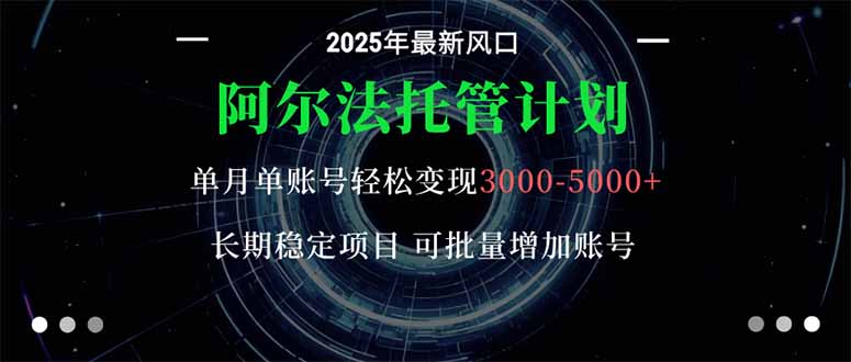 阿尔法托管计划 单账号月入3000-5000，长期稳定项目，新手小白轻松上手。-HEIXMI（中国站）
