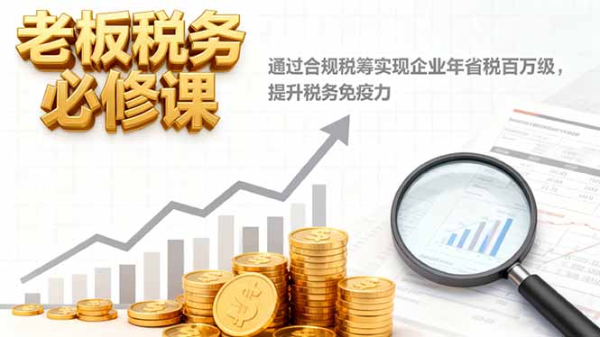 老板税务必修课，通过合规税筹实现企业年省税百万级，提升税务免疫力-HEIXMI（中国站）