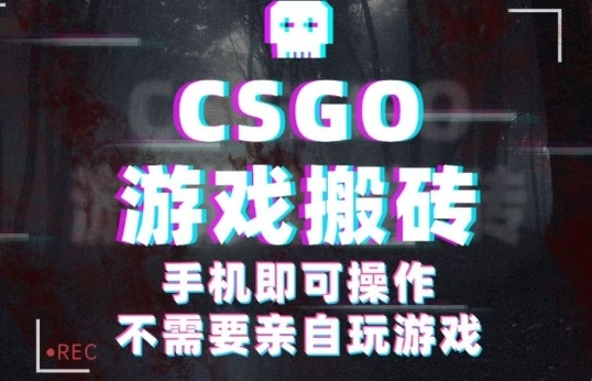 CSGO游戏挂G捡漏，单日扫货5张+，年底小高峰上车可吃肉，手机即可操作，兼职副业创业网创【揭秘】-HEIXMI（中国站）